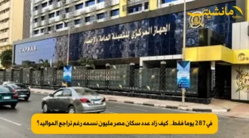 في 287 يوما فقط.. كيف زاد عدد سكان مصر مليون نسمة رغم تراجع المواليد؟ 1